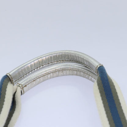 Gucci GG canvas