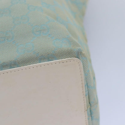 Gucci GG canvas