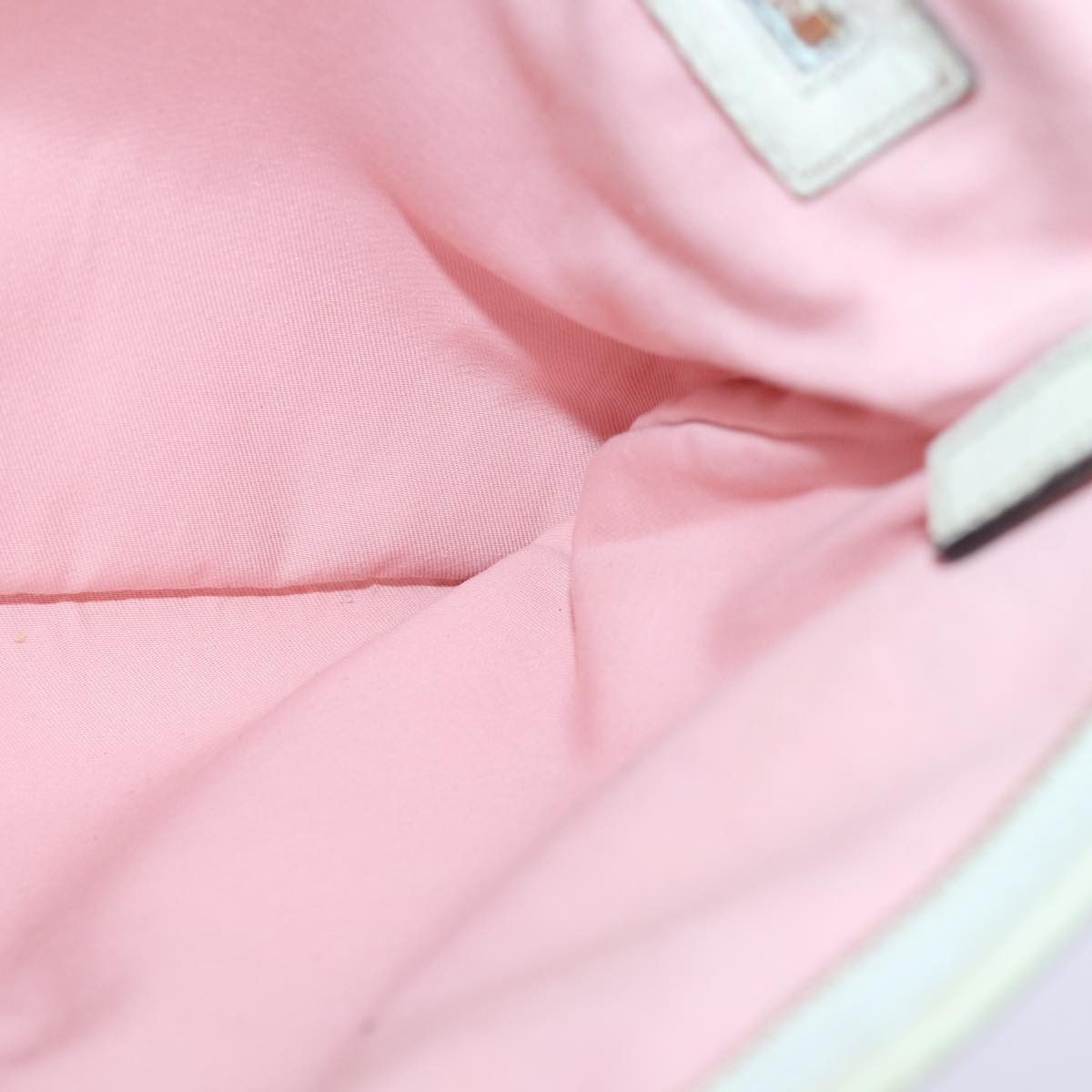 Gucci GG canvas