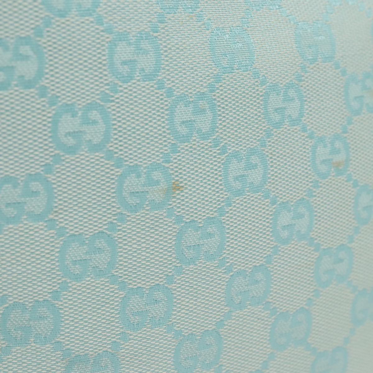 Gucci GG canvas