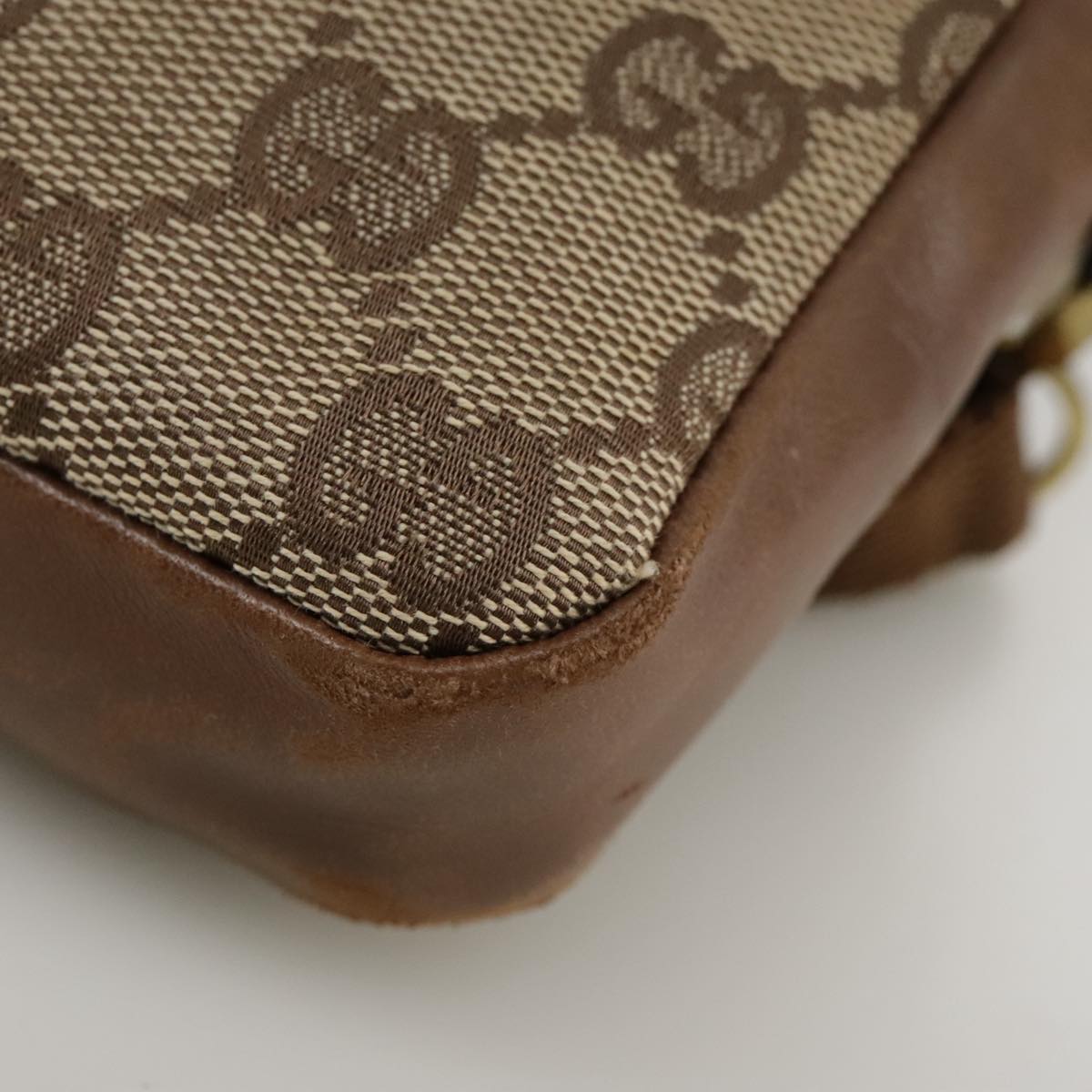 Gucci GG canvas