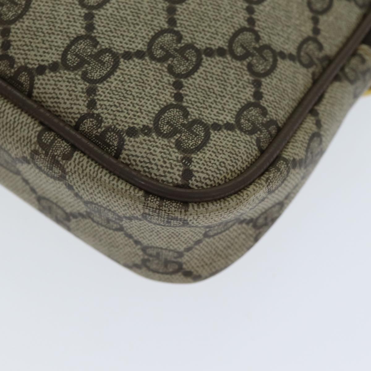 Gucci GG canvas