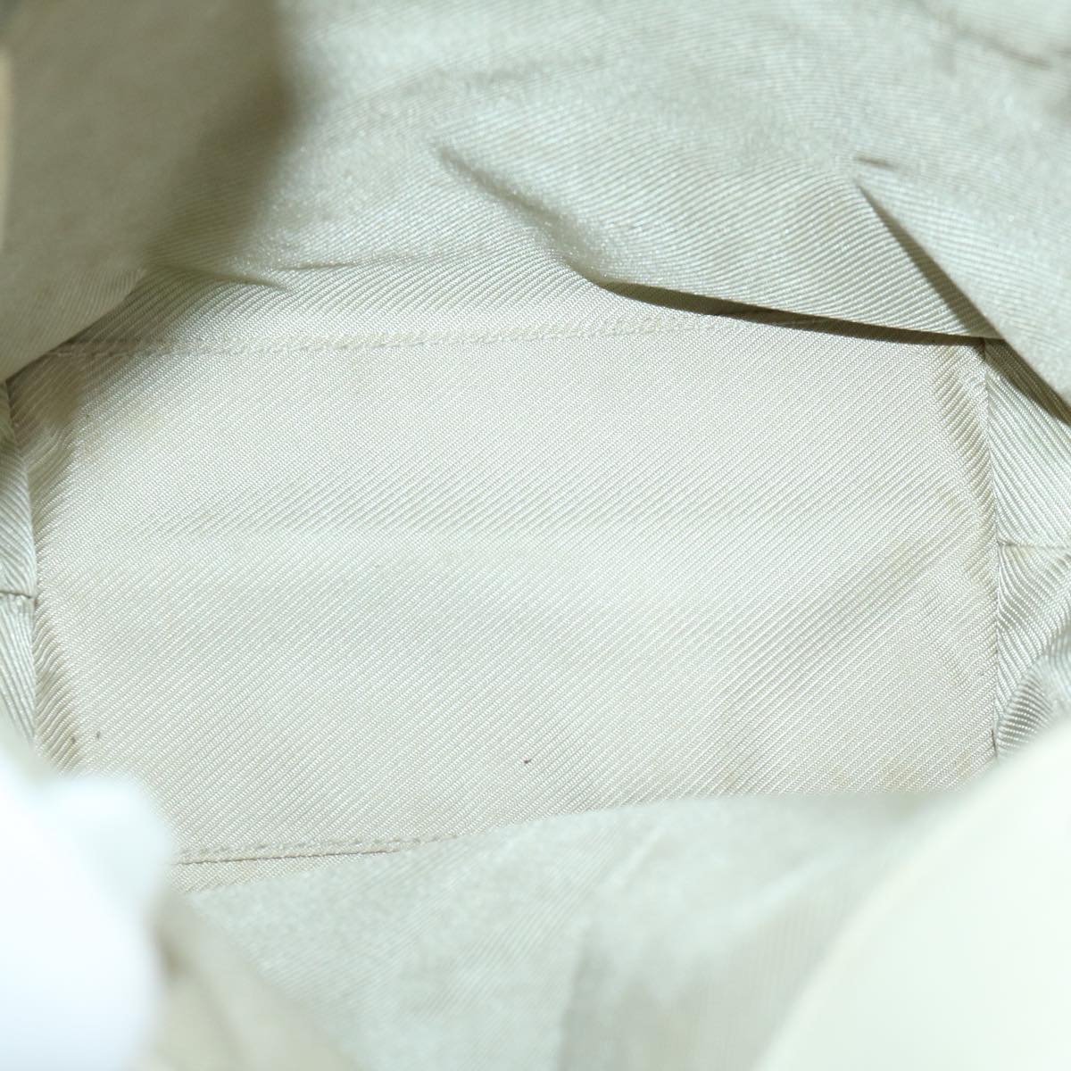 Gucci GG canvas