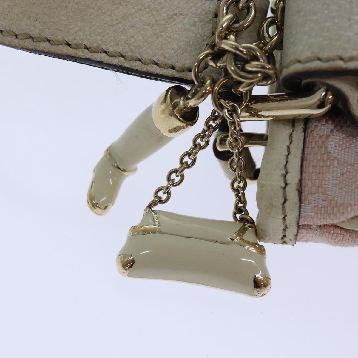 Gucci GG canvas