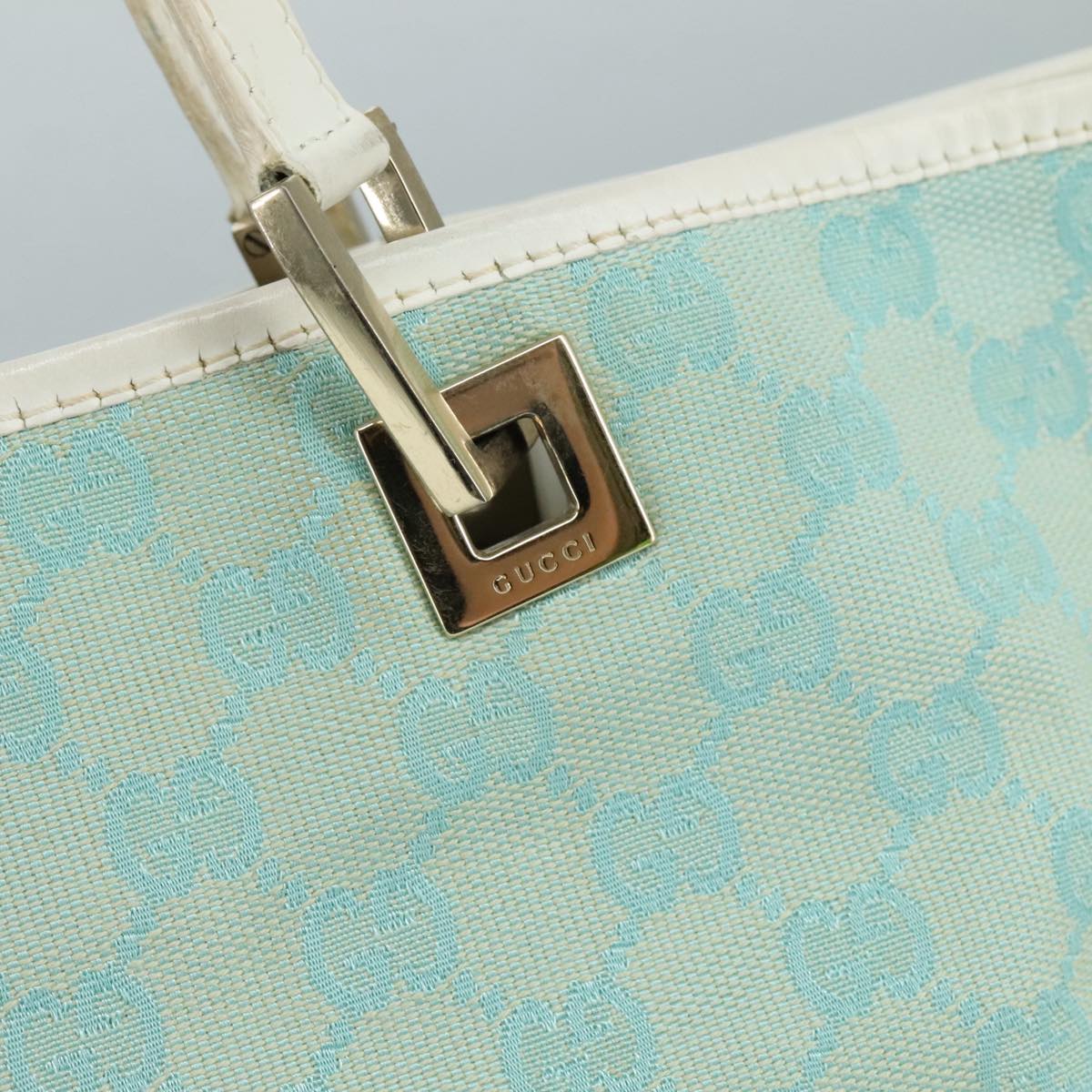 Gucci GG canvas