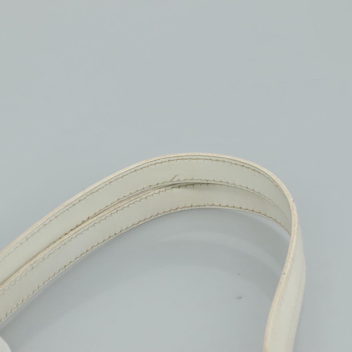 Gucci GG canvas