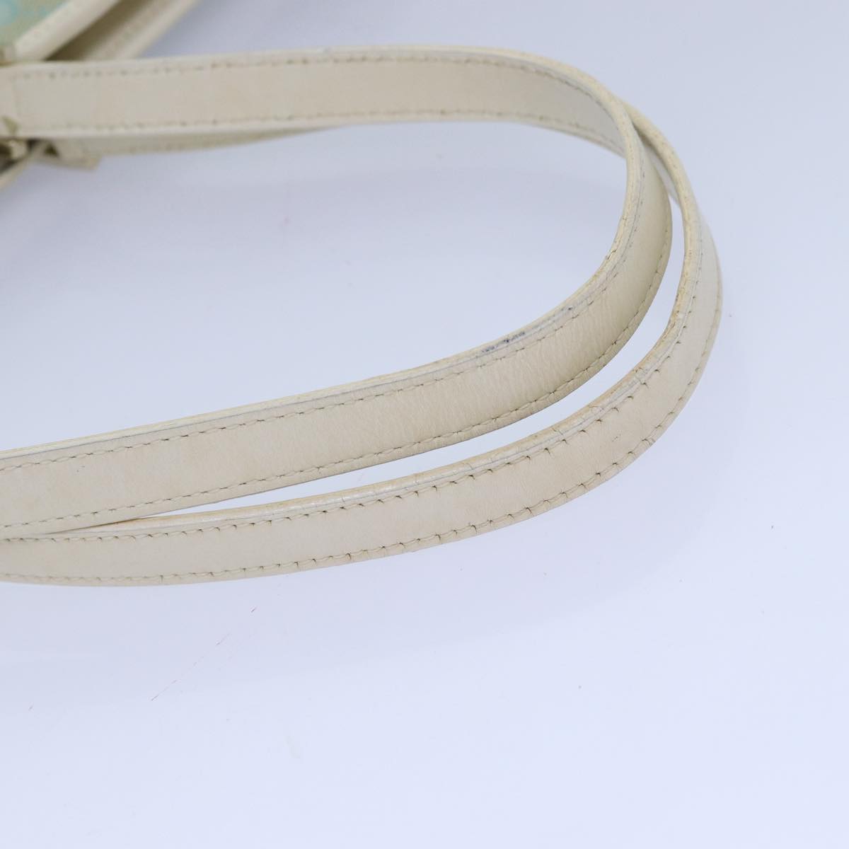 Gucci GG canvas