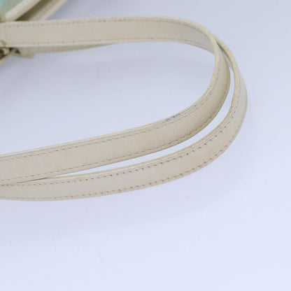 Gucci GG canvas