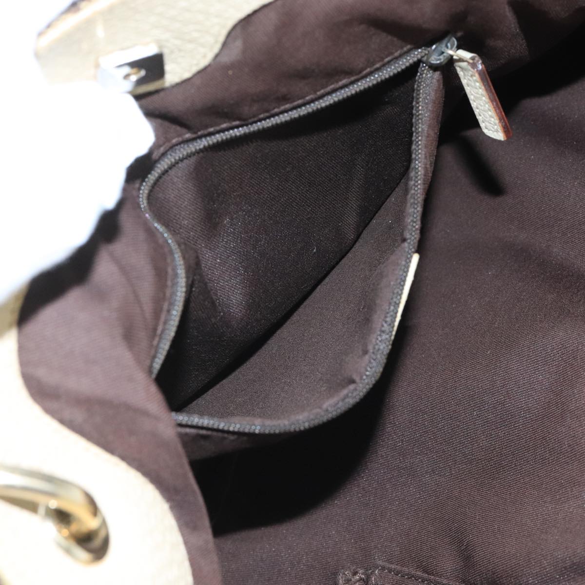 Gucci GG canvas