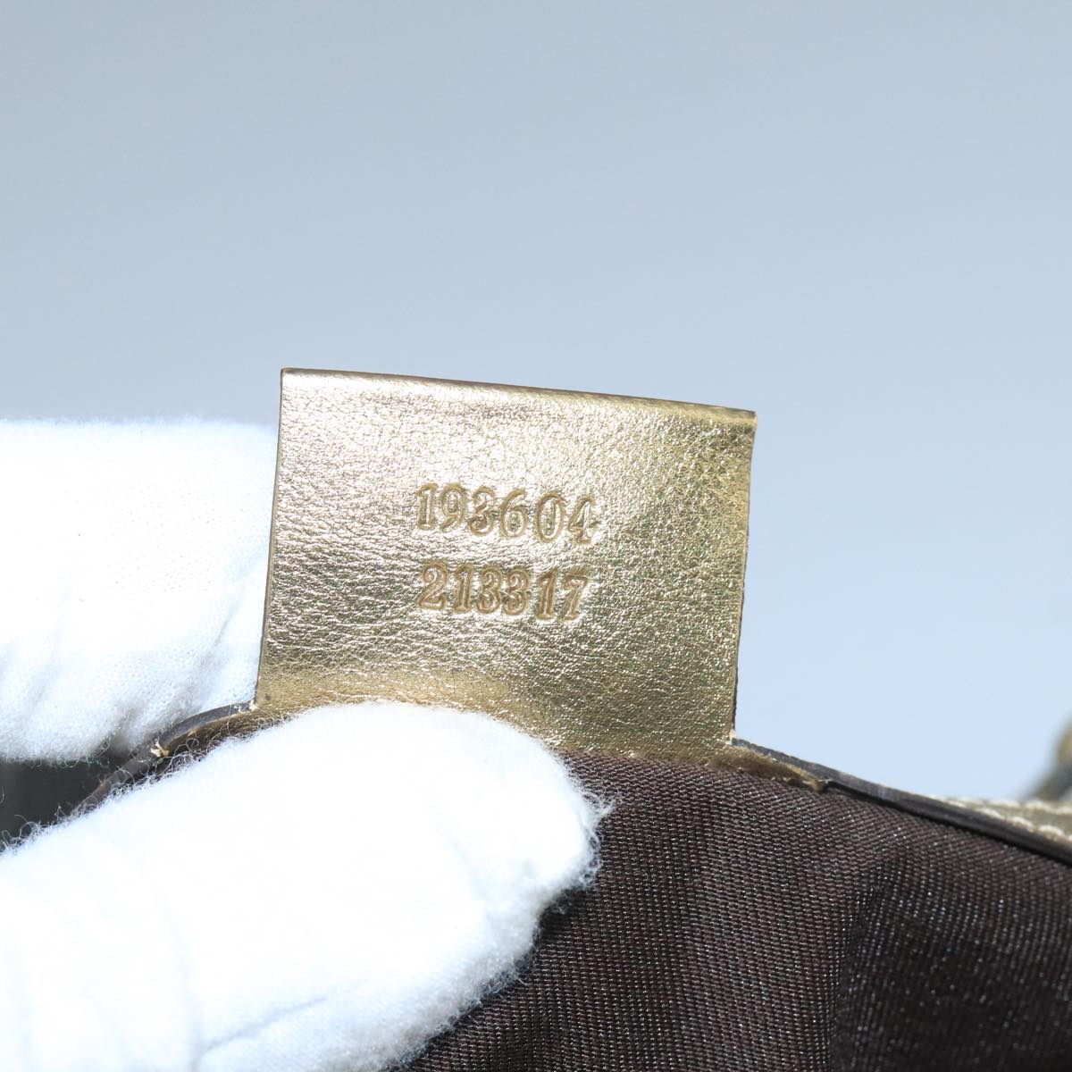 Gucci GG canvas