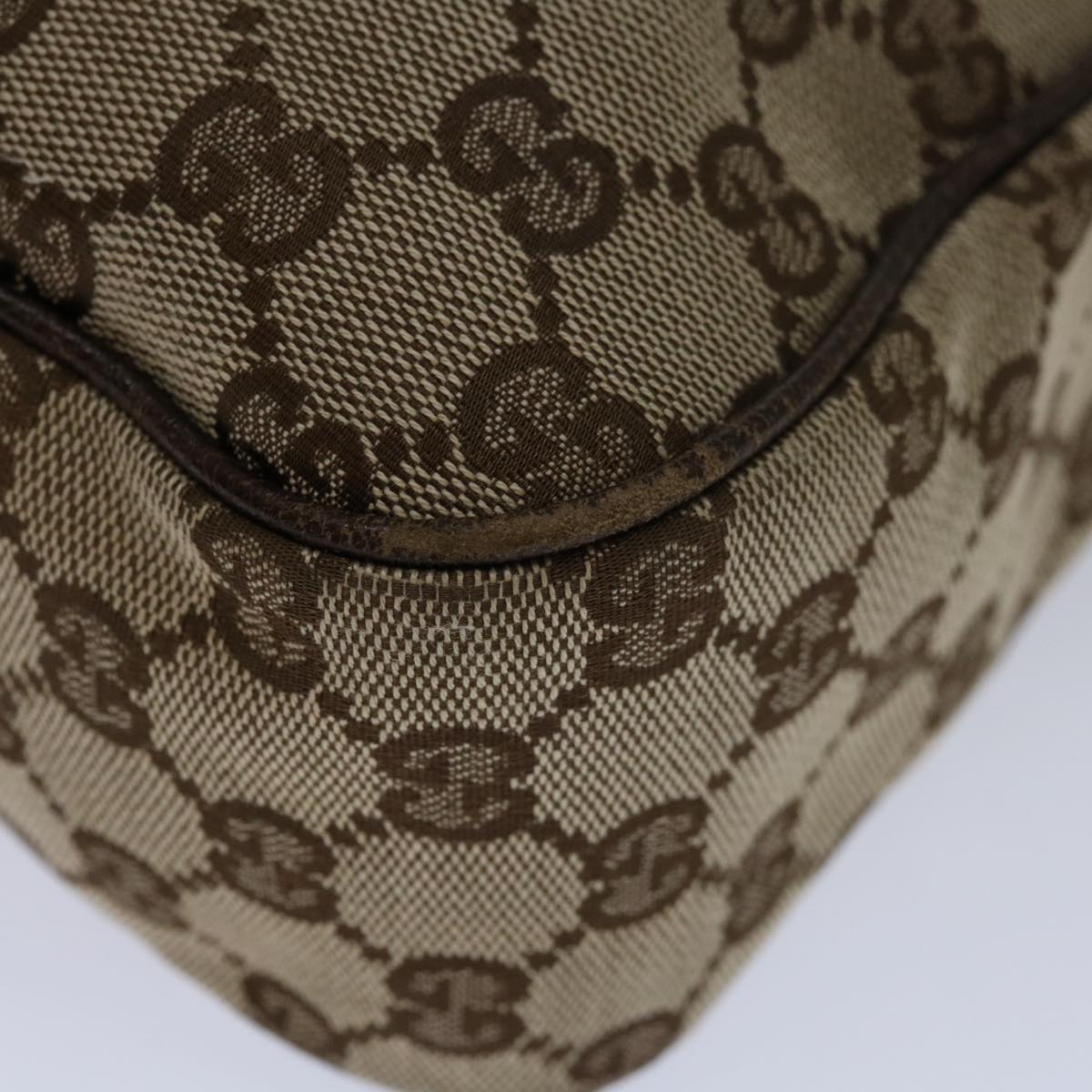 Gucci GG canvas