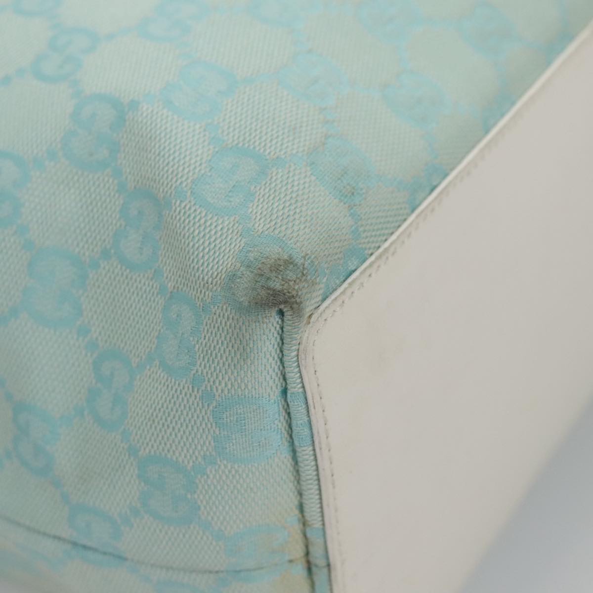 Gucci GG canvas