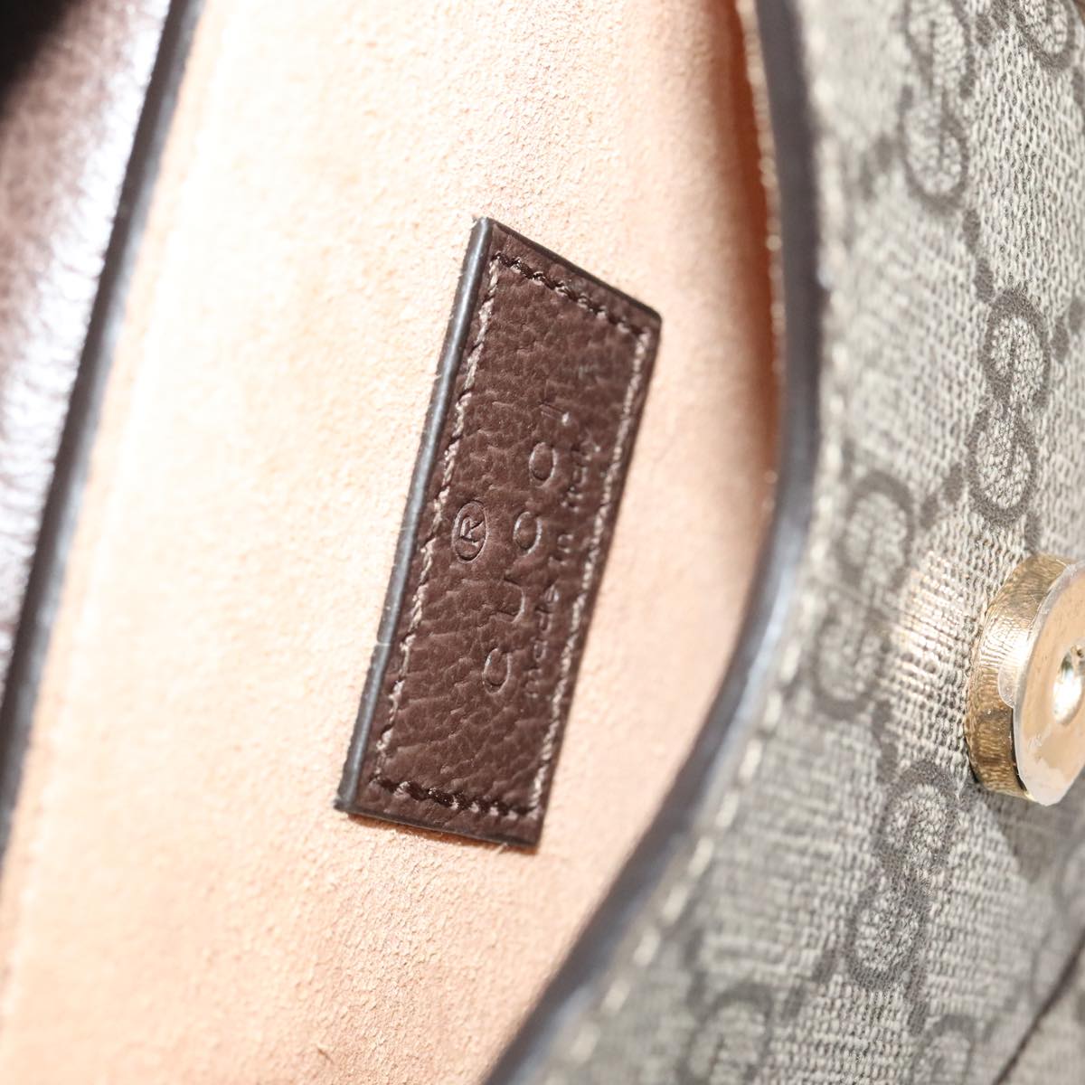 Gucci GG canvas