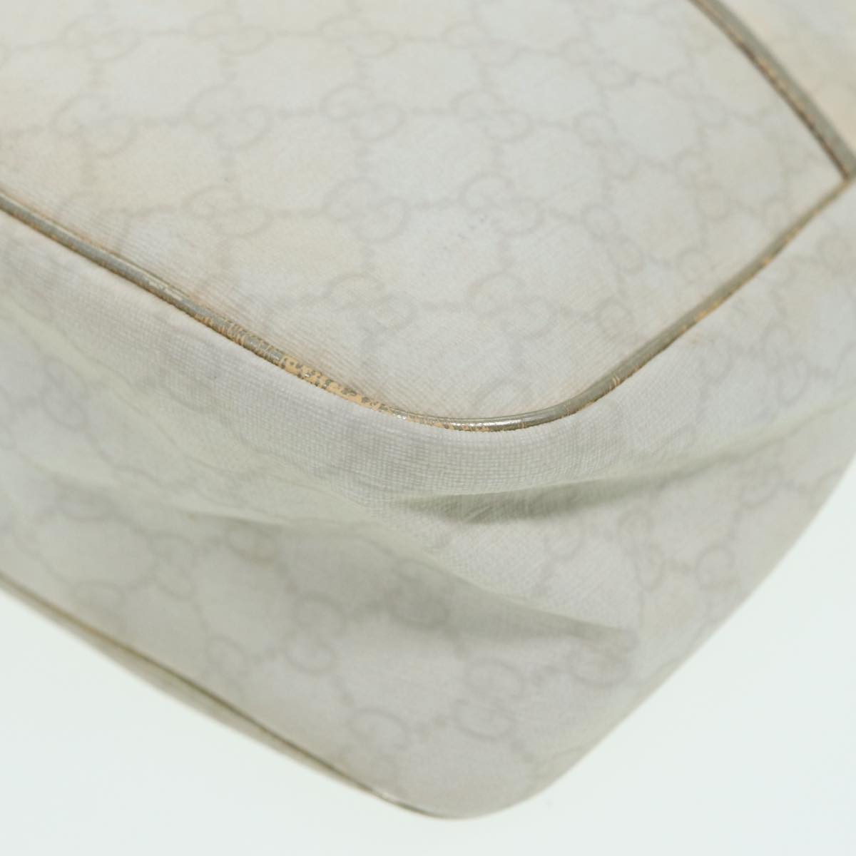 Gucci GG canvas