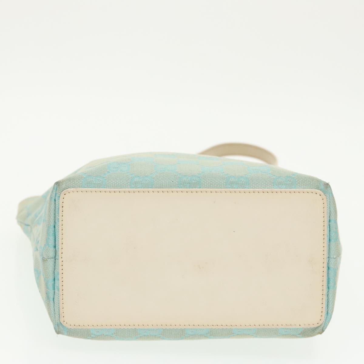Gucci GG canvas