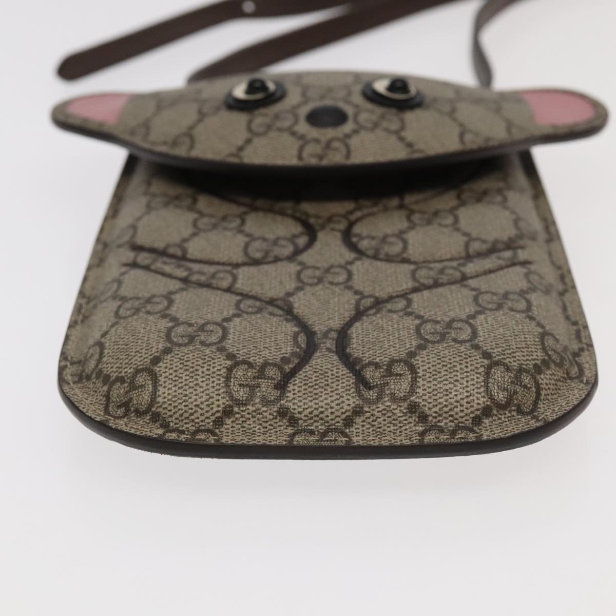 Gucci GG canvas