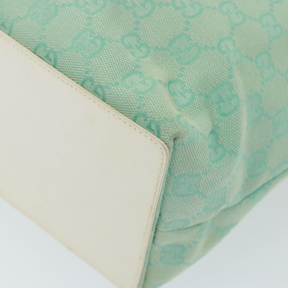 Gucci GG canvas