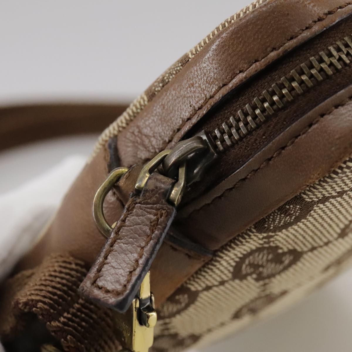 Gucci GG canvas