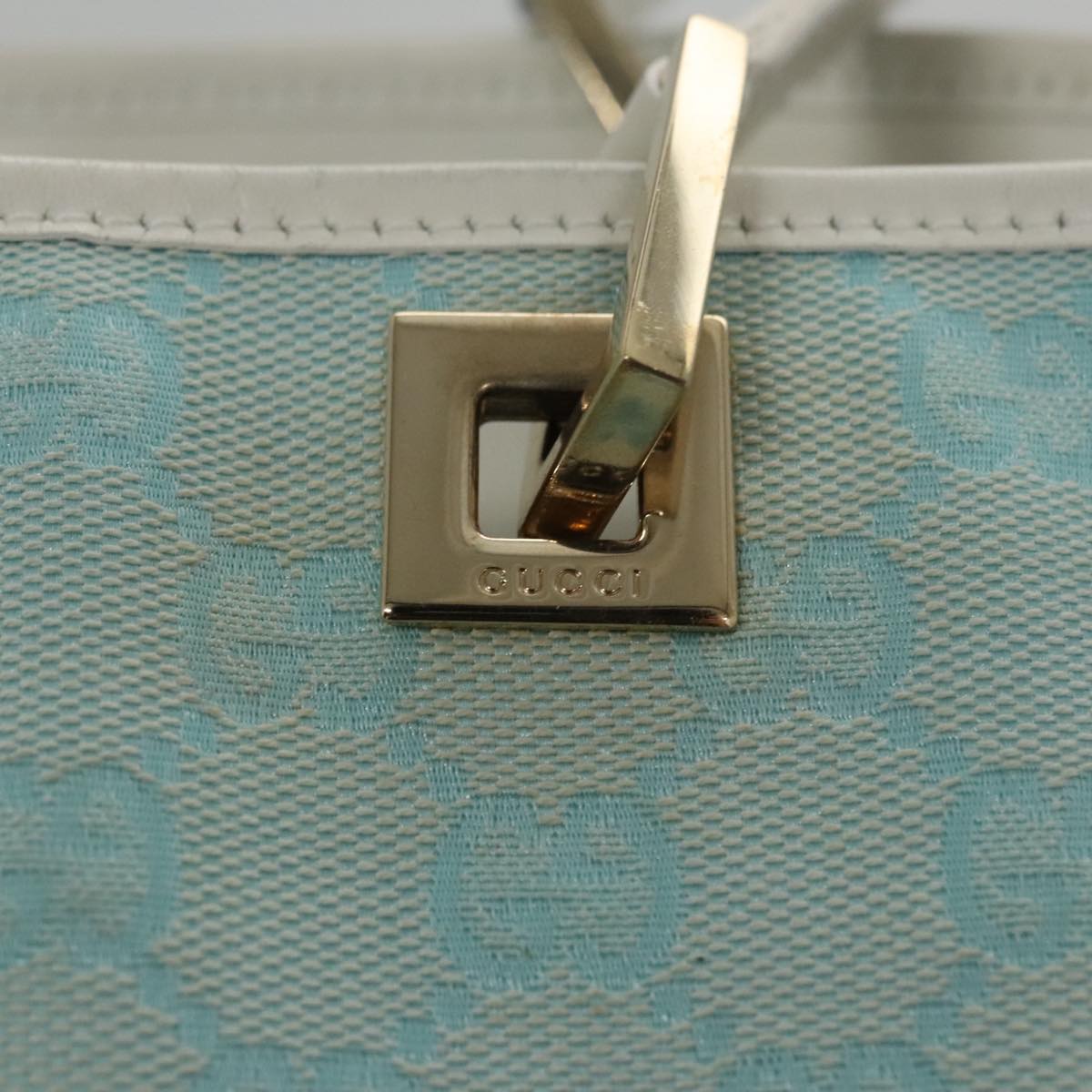 Gucci GG canvas