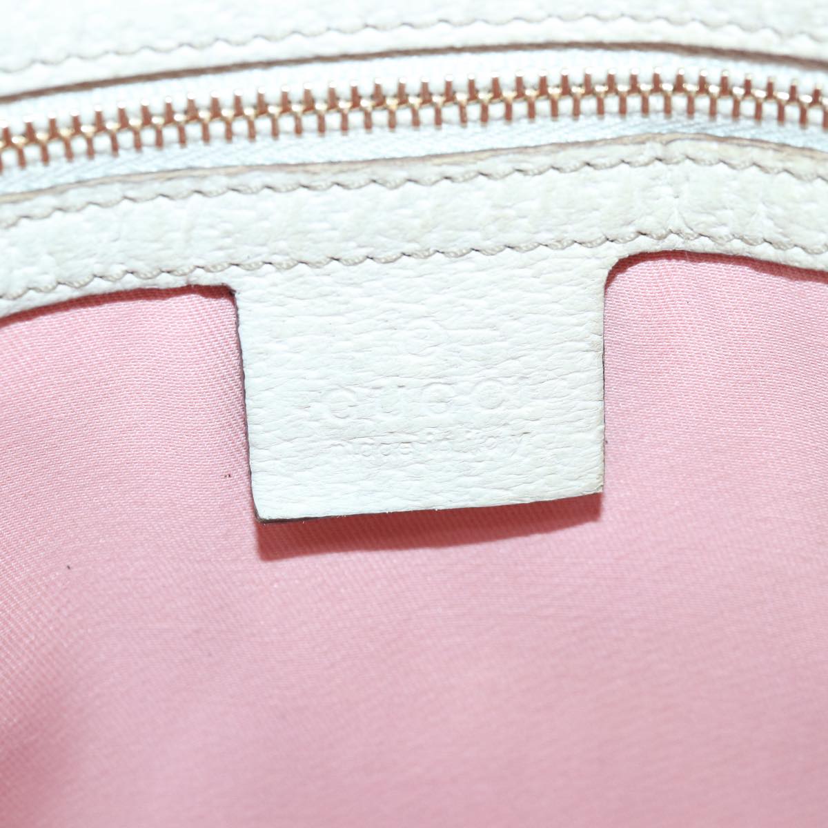 Gucci GG canvas