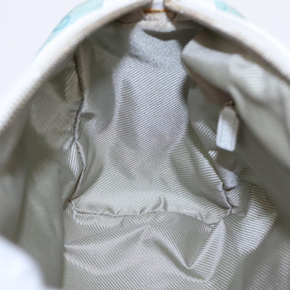 Gucci GG canvas