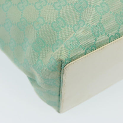 Gucci GG canvas