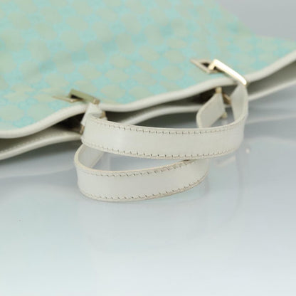 Gucci GG canvas