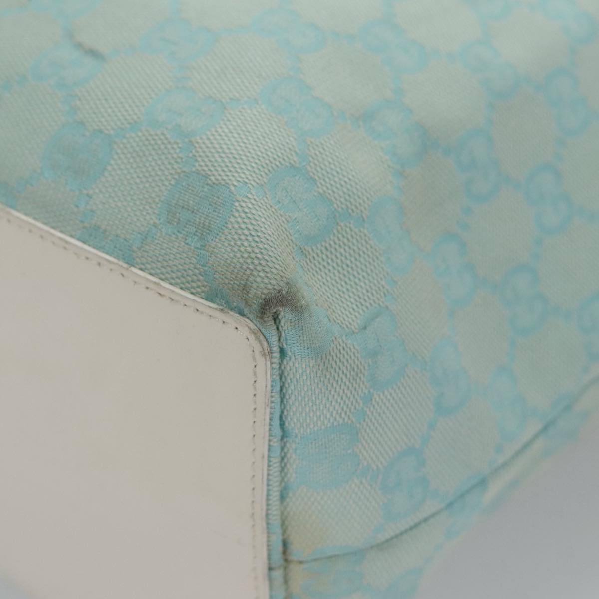 Gucci GG canvas