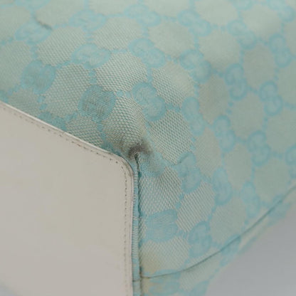 Gucci GG canvas
