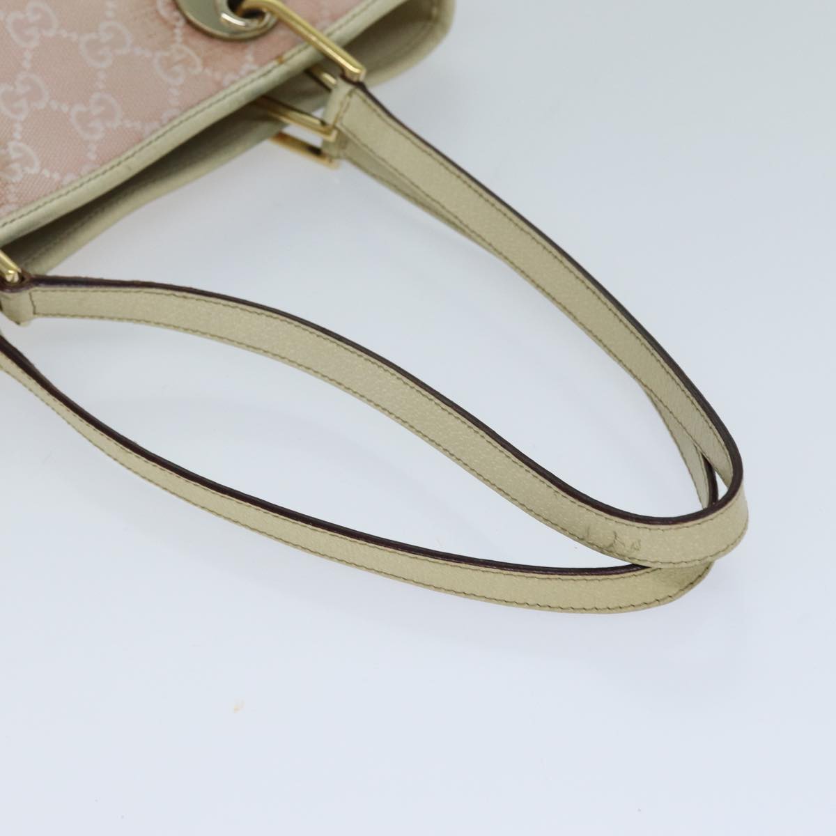 Gucci GG canvas