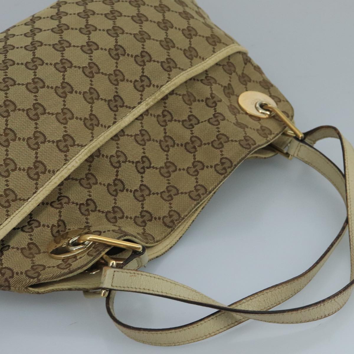 Gucci GG canvas