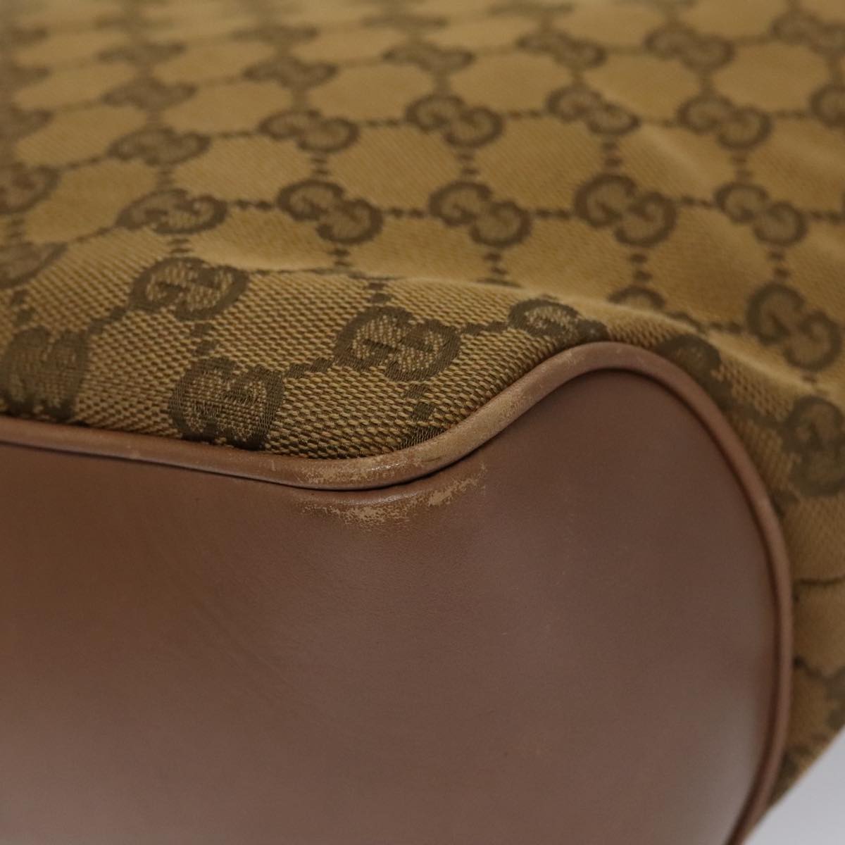 Gucci GG canvas