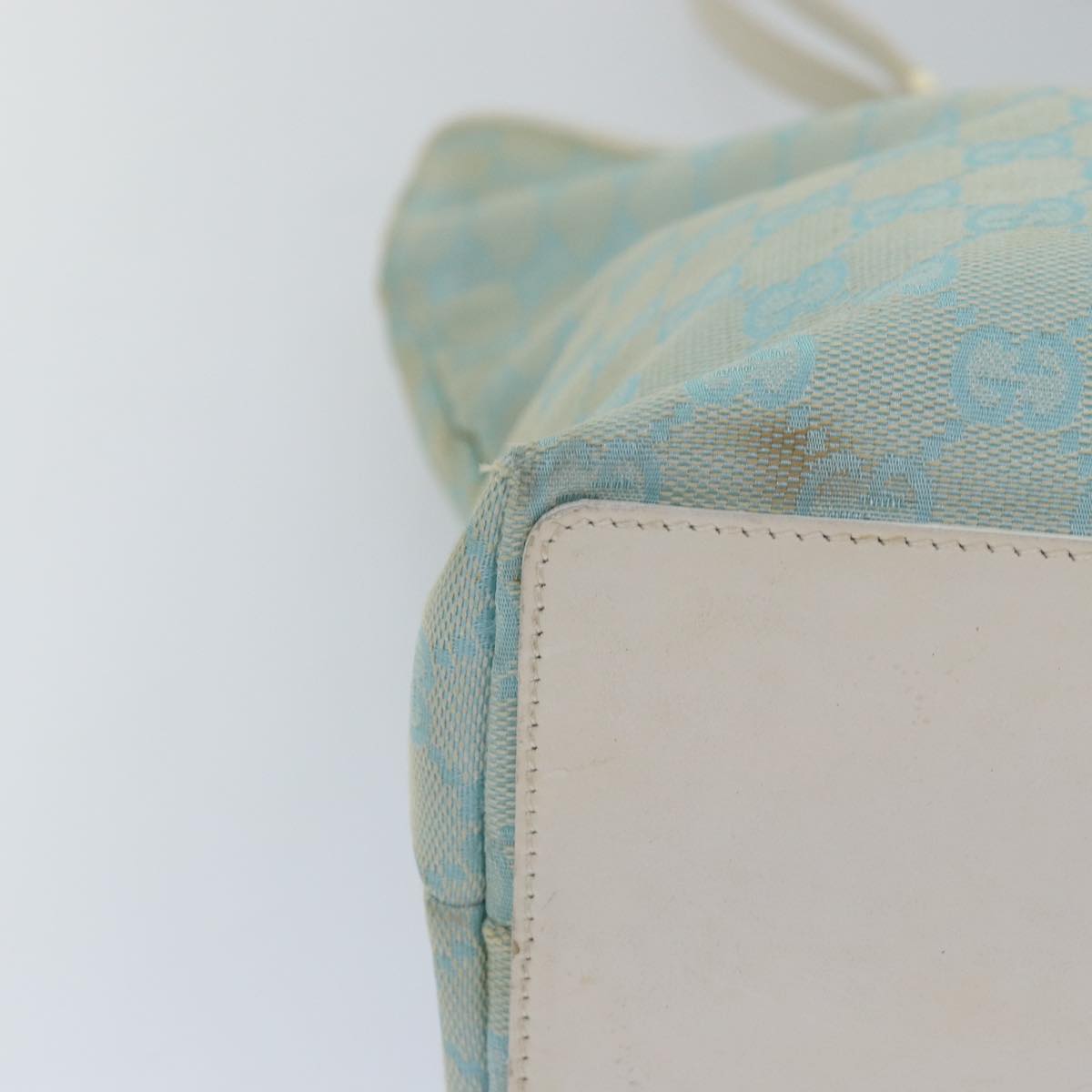 Gucci GG canvas