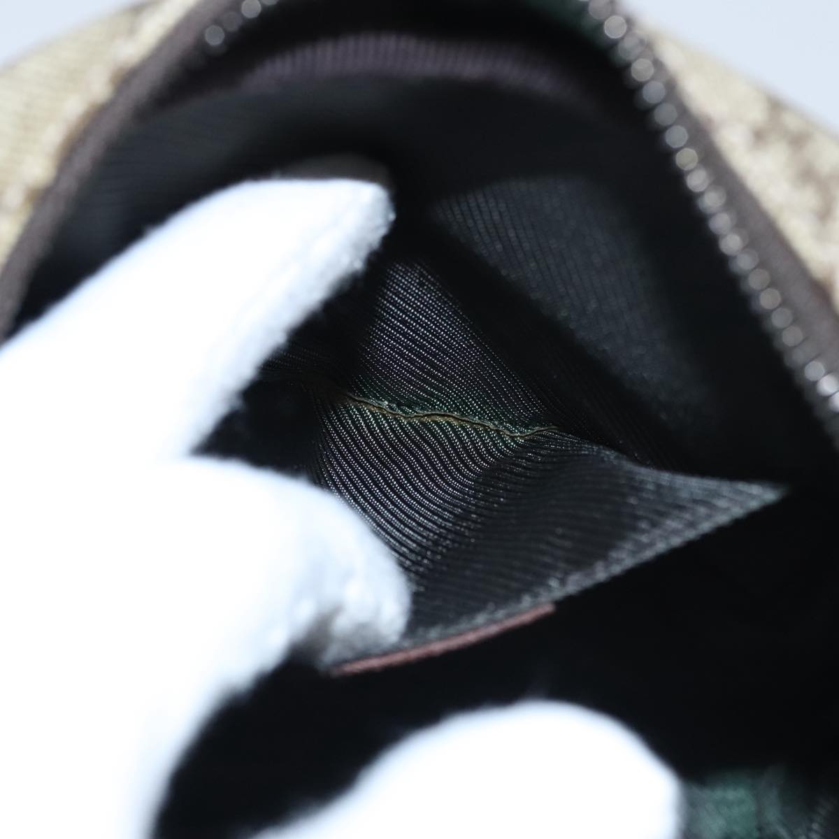 Gucci GG canvas