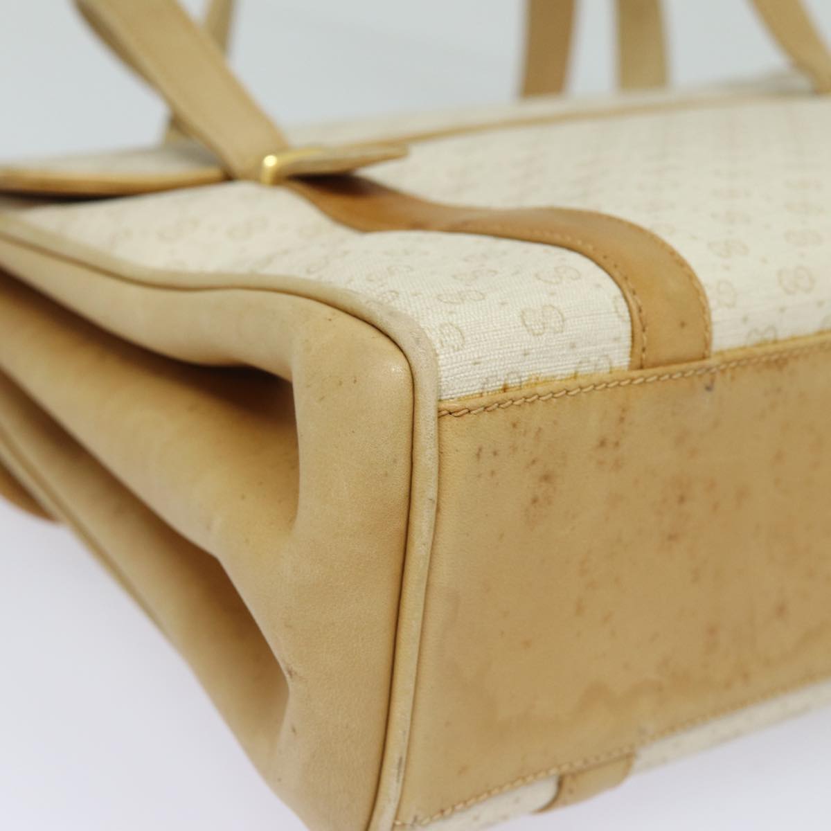 Gucci GG canvas