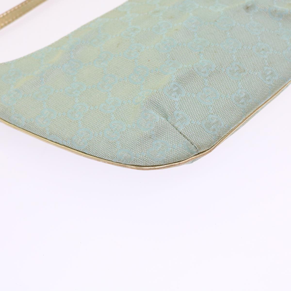 Gucci GG canvas