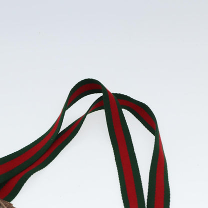 Gucci GG canvas