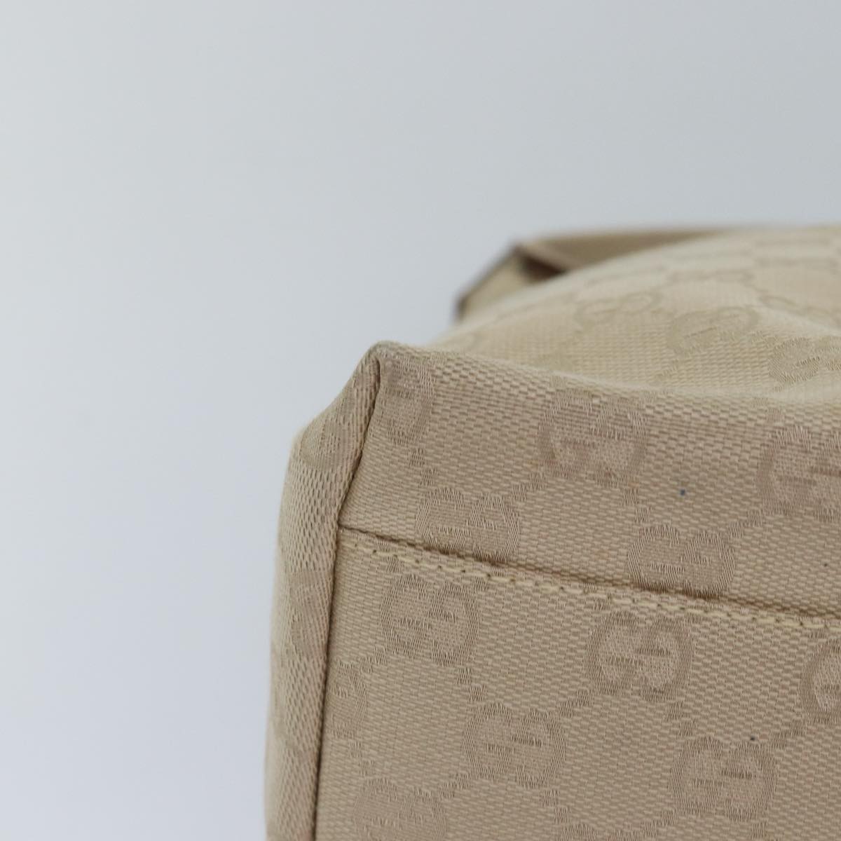 Gucci GG canvas