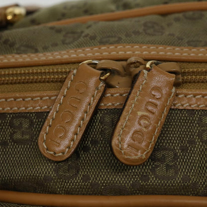 Gucci GG canvas