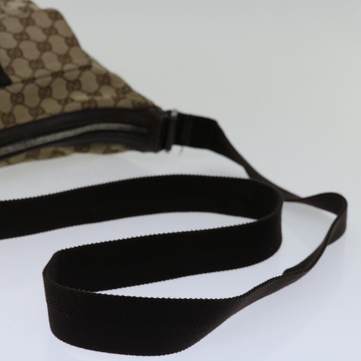 Gucci GG canvas