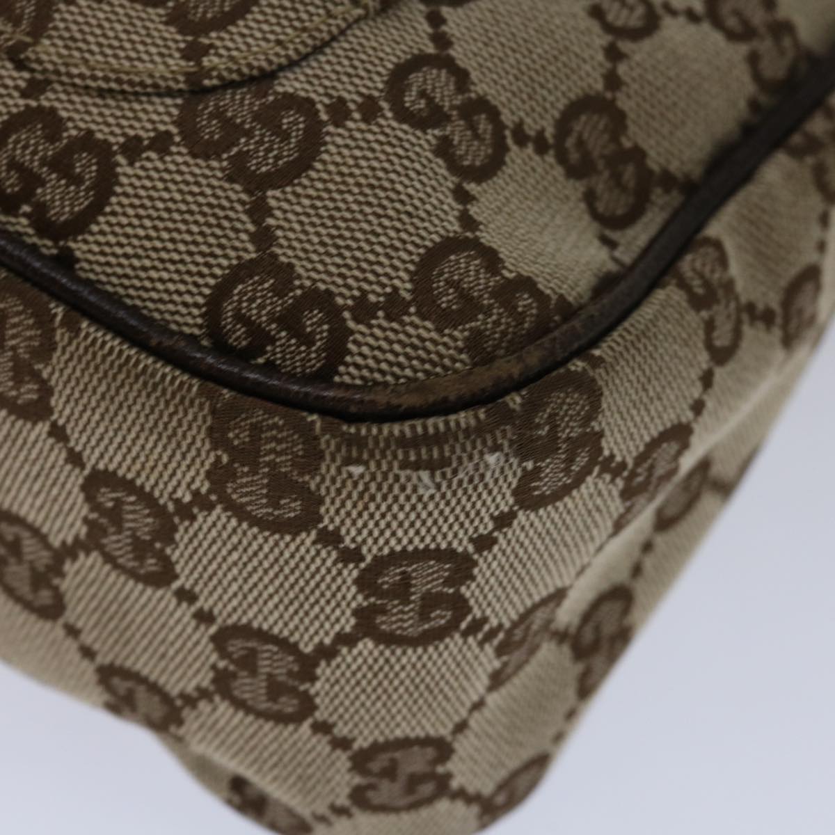 Gucci GG canvas