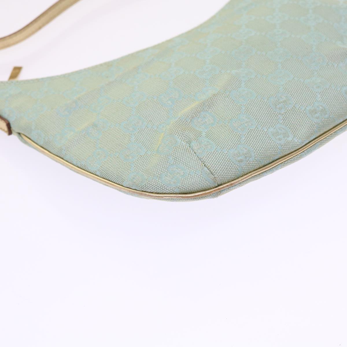 Gucci GG canvas