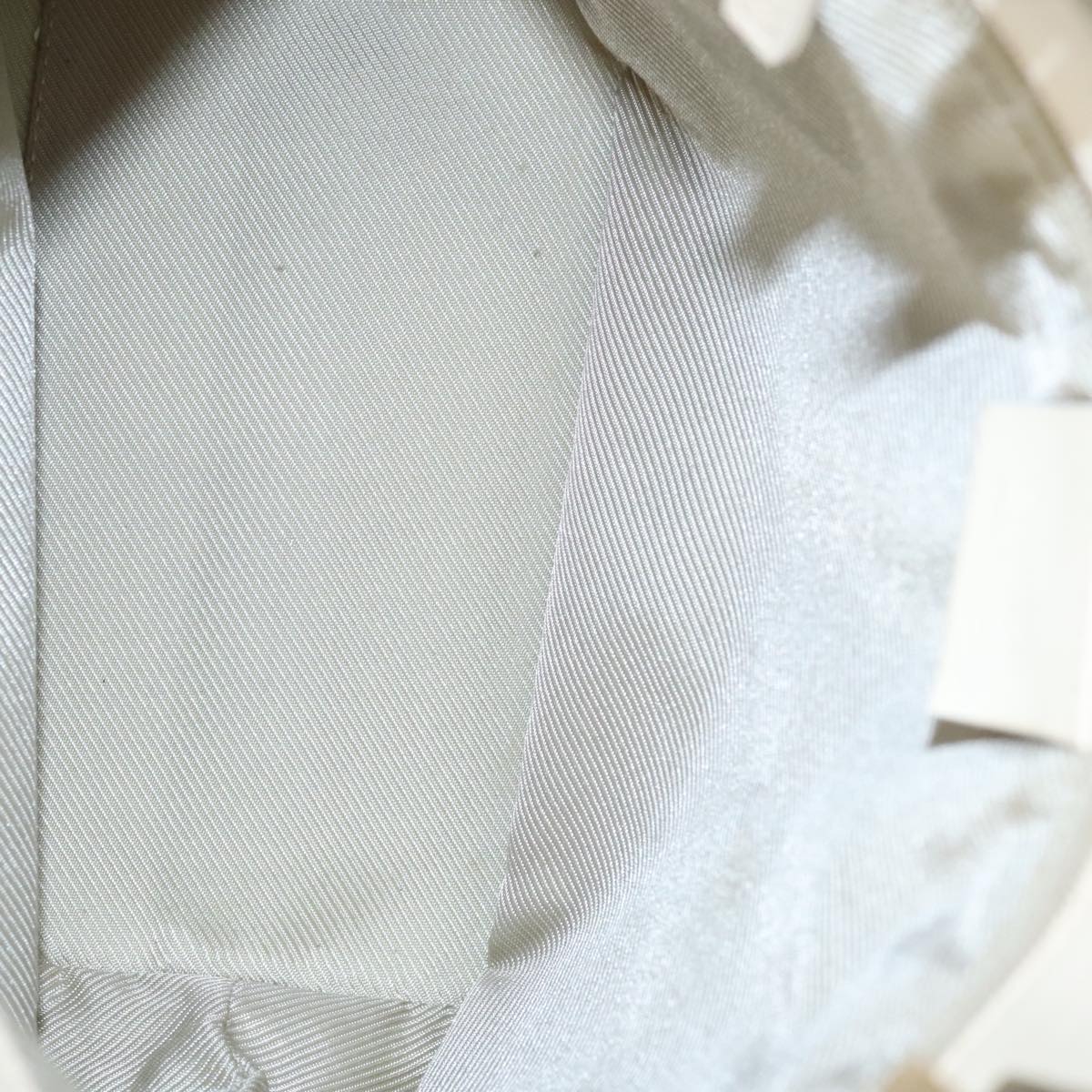 Gucci GG canvas