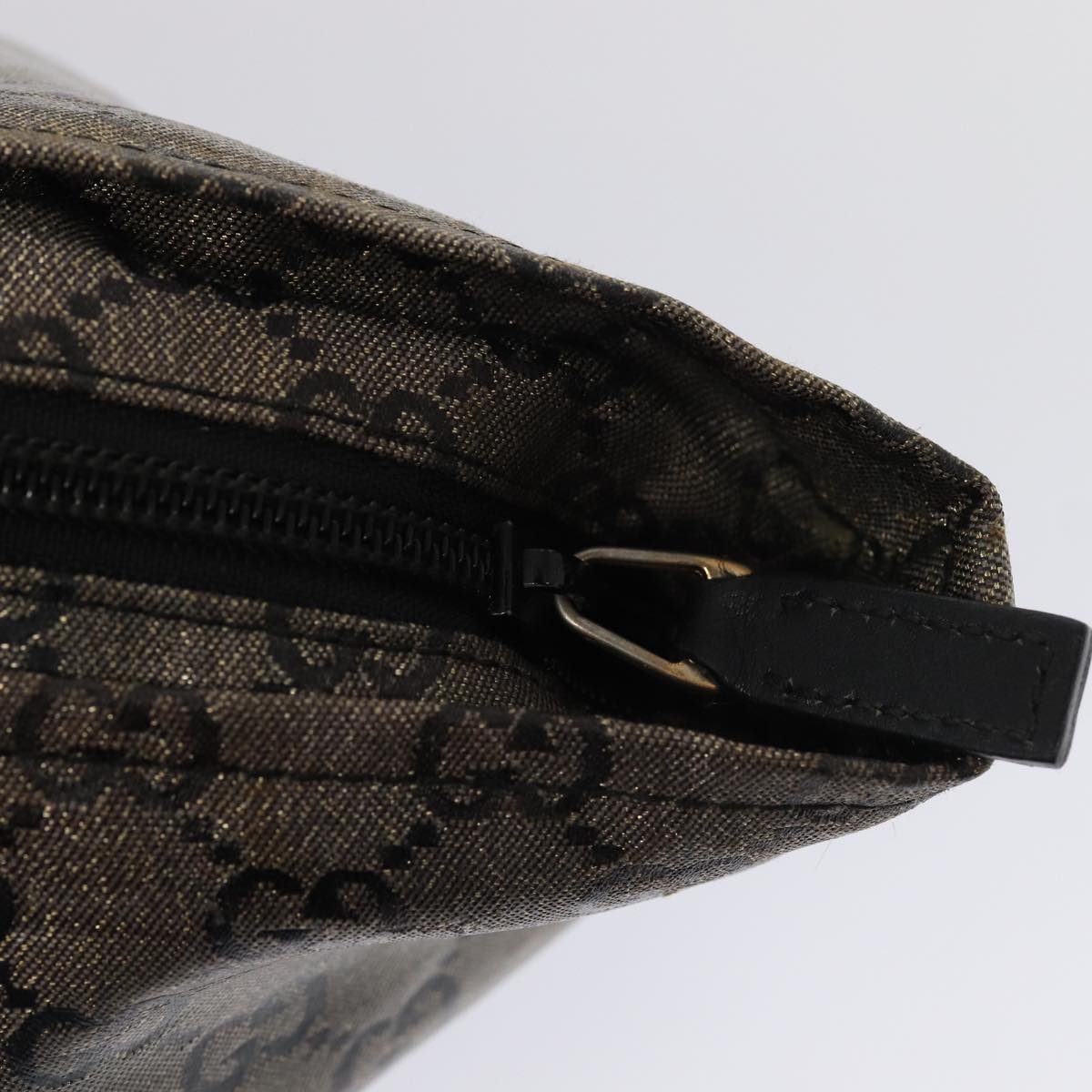 Gucci GG canvas