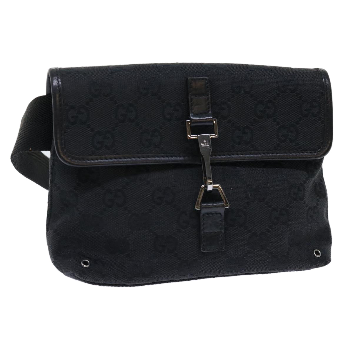 Gucci GG canvas