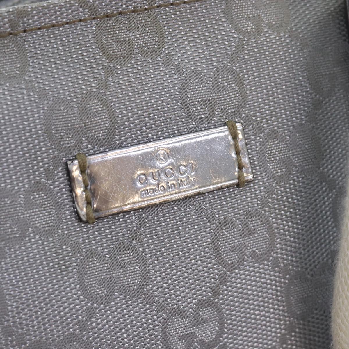Gucci GG canvas