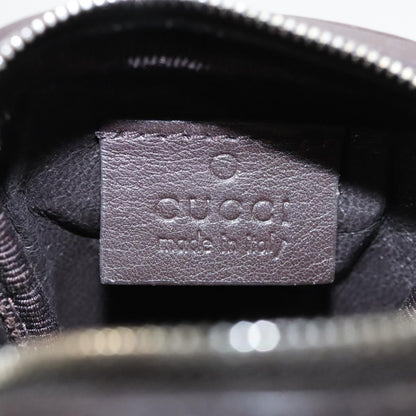 Gucci GG canvas