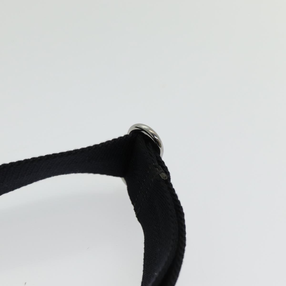 Gucci GG canvas