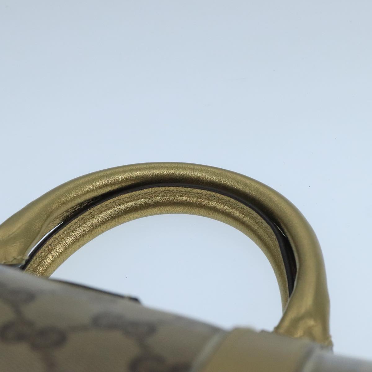 Gucci GG canvas
