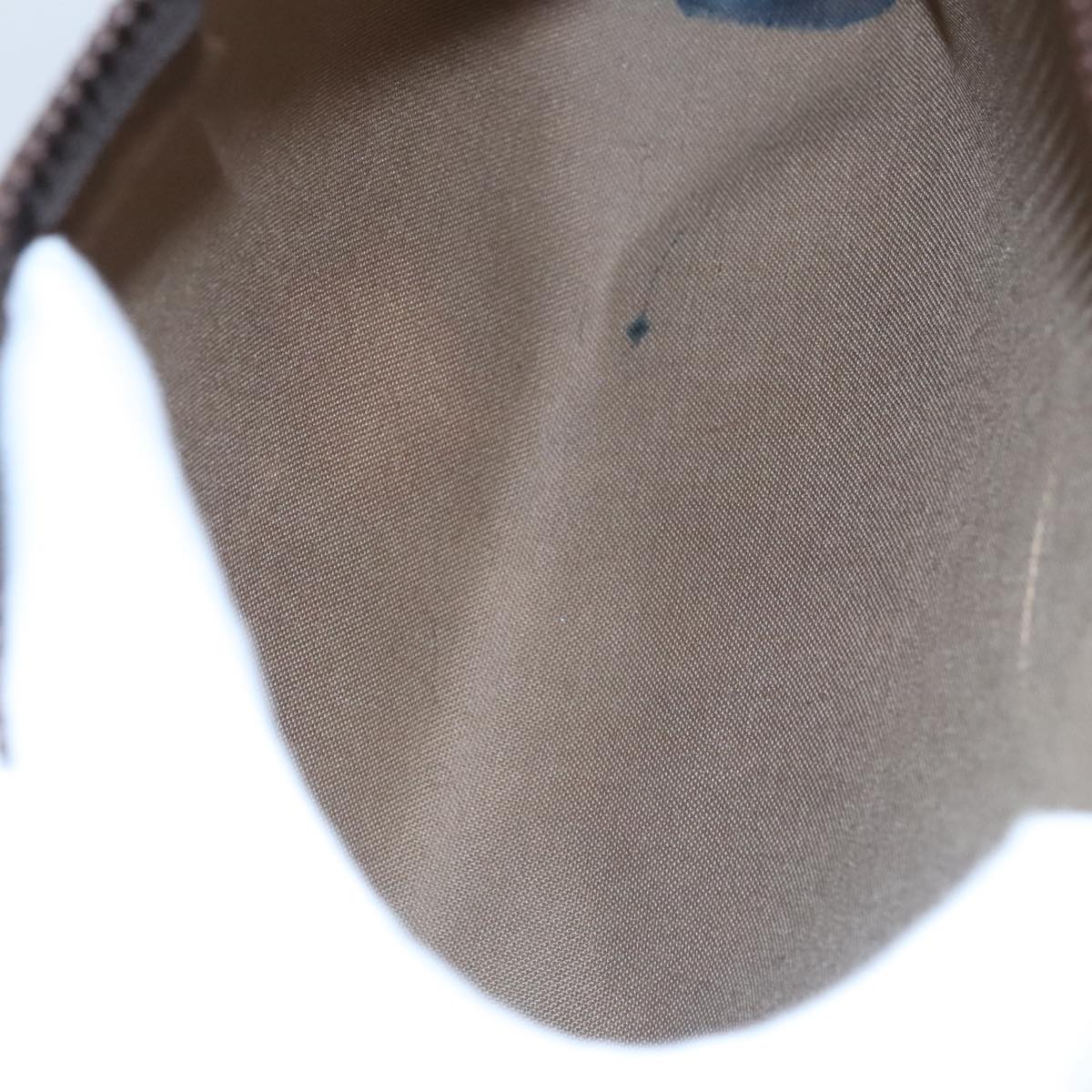 Gucci GG canvas